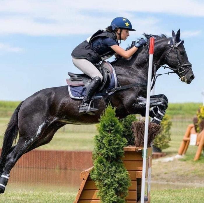 Al via delle prossime due tappe di Cavalli in Villa Al via delle prossime due tappe di Cavalli in Villa