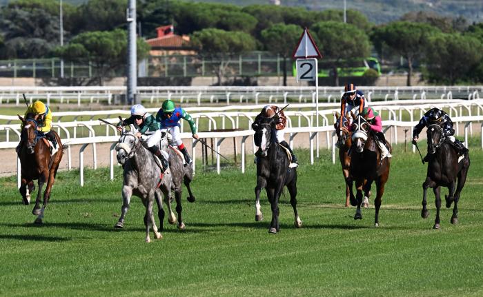 Capannelle gran finale di stagione, puledri e perizie Capannelle gran finale di stagione, puledri e perizie