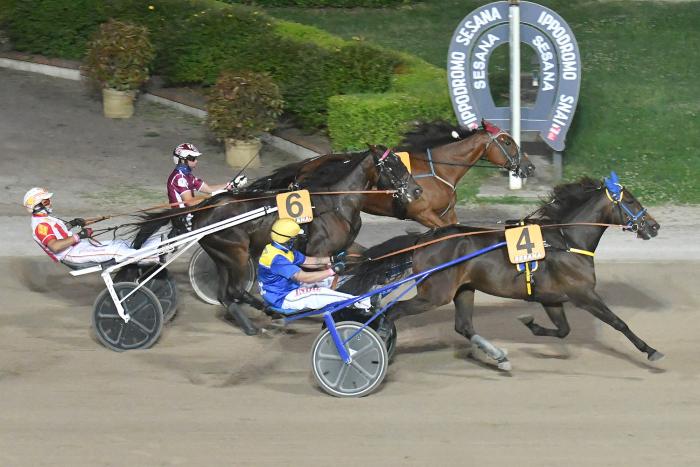 Montecatini, un lungo sabato d'estate tra mercatino e corse dei cavalli Montecatini, un lungo sabato d'estate tra mercatino e corse dei cavalli