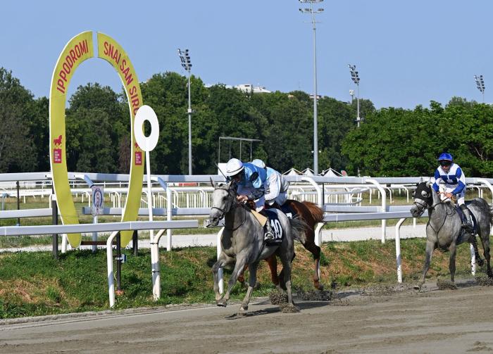 Finale appassionante : RB Burn The Bill prima femmina a vincere la UAE President Cup in Italia Finale appassionante : RB Burn The Bill prima femmina a vincere la UAE President Cup in Italia