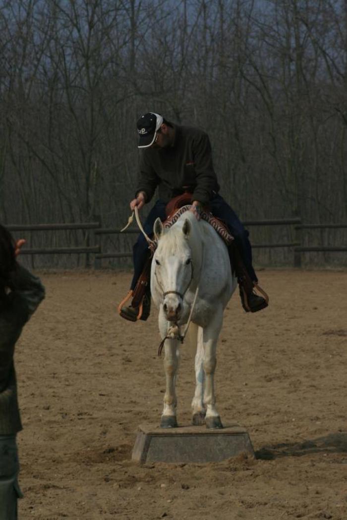 Qui sopra e sotto cliccando gli operatori e i cavalli di Horseman