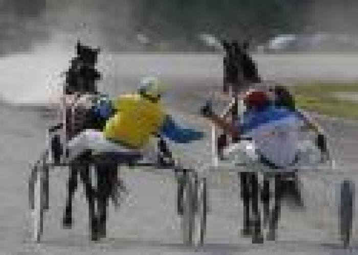 Campionato del Mediterraneo, Pettinari terzo