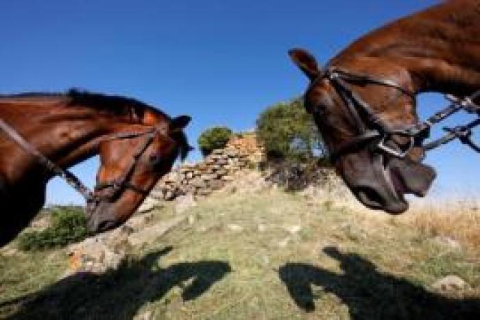 Fotoracconti di Stefano Grasso