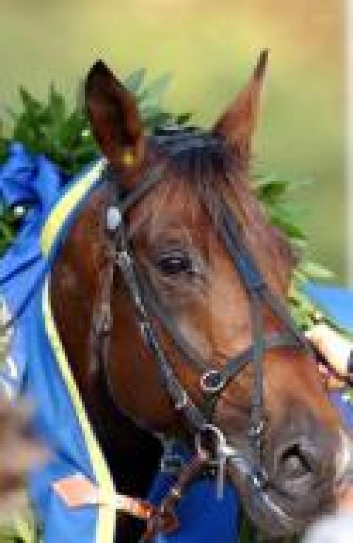 La scheda : Daguet in Italia vinse il Derby nel 2003