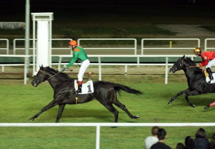 In home page e qui sopra la vittoria di Black Mambazo. Sotto cliccando l\'arrivo del Premio Soragna. Foto Gennaro Giorgio, Ippodromo di Agnano.
