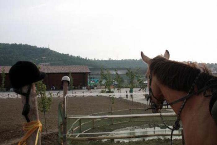 una bella immagine della Scuderia dell\'Unicorno una bella immagine della Scuderia dell\'Unicorno