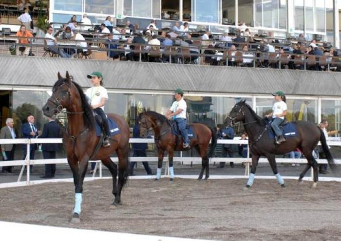 In Home Page e qui sopra i cavalli della Relived Horses Onlus incontrano il pubblico di Tor di Valle. Sotto cliccando un momento del carosello