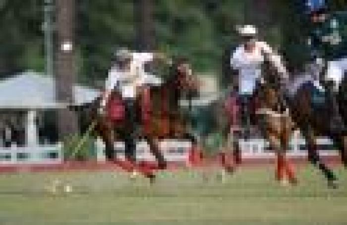 Polo a Roma, l'Audi vince e premia... se stessa Polo a Roma, l'Audi vince e premia... se stessa