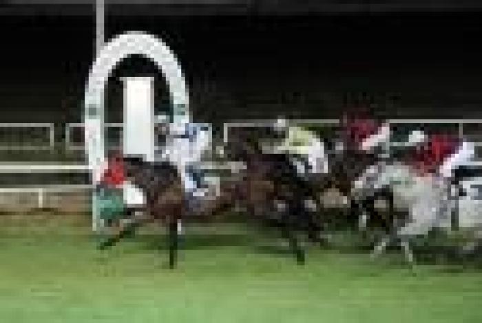 Galoppo a Napoli, annullato il Criterium Galoppo a Napoli, annullato il Criterium