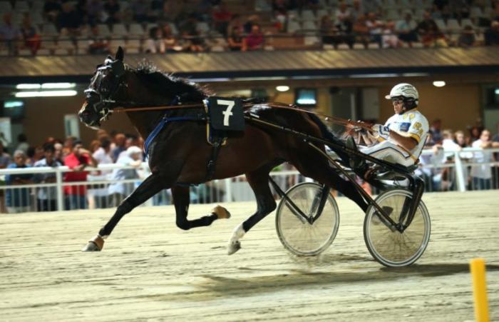 Trotto a Cesena, Mack Grace Sm da record