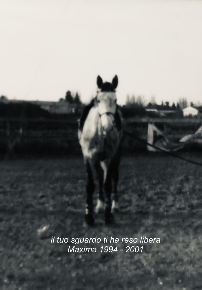 Quell'inferno chiamato colica Quell'inferno chiamato colica