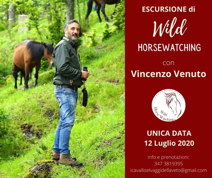 Con Vincenzo Venuto sulle tracce dei cavalli selvaggi dell’Aveto