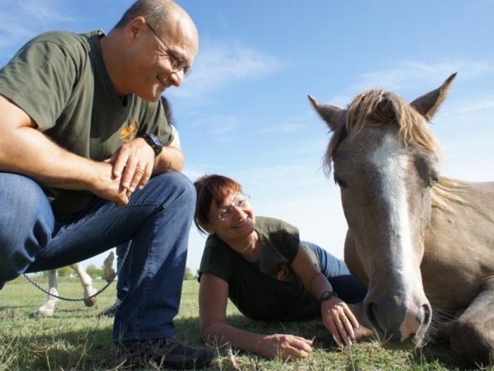 I cavalli per noi somigliano  ad una droga , ma noi cosa siamo per loro?