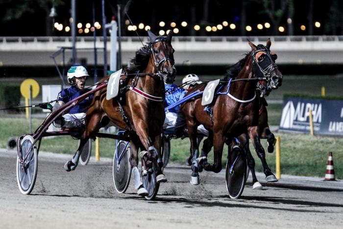 Cesena, notte di corse e di campioni, al via  il Riccardo Grassi