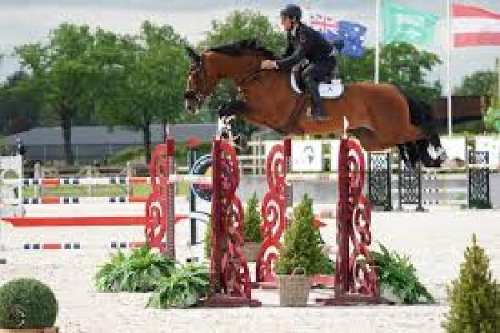 Salto ostacoli - Luci a San Siro