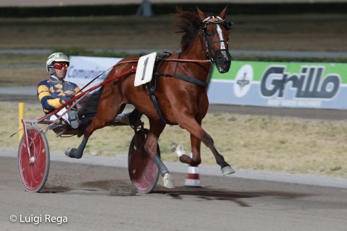 Settebello in volata sul miglio del Riccardo Grassi, Cesena gold