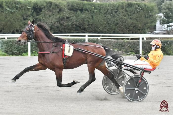 Always Ek domina il Gran Premio del Gargano, 1.10.6 Always Ek domina il Gran Premio del Gargano, 1.10.6