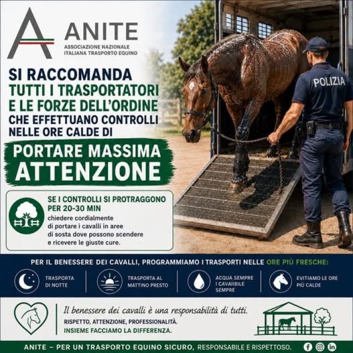 ANITE  sul caldo : Il benessere dei cavalli prima di tutto