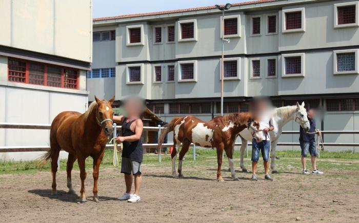 FIERACAVALLI amplia progetto con Carcere di MONTORIO, al via i primi tirocini