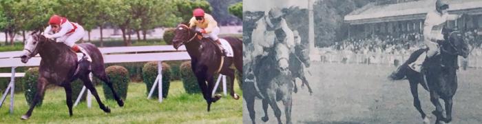 IL MORO DI MAX, NONNO ILDO, NANDO E IL GRIGIO RAVIER
