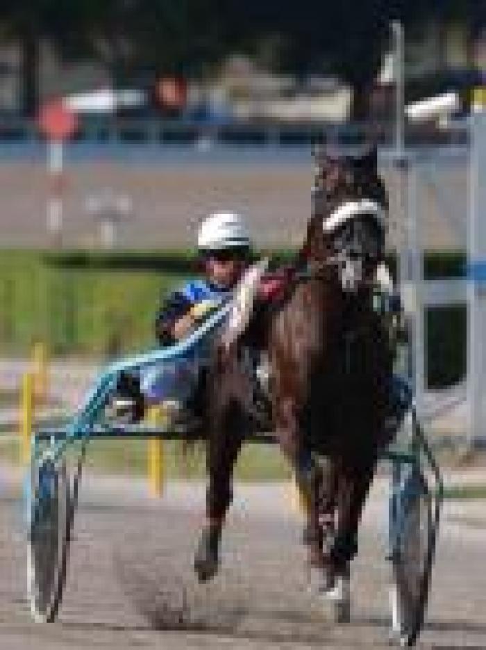 Premio Pegaso d'Argento al mitico Vivaldo Baldi Premio Pegaso d'Argento al mitico Vivaldo Baldi