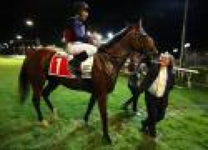Galoppo a Livorno, in 6.000 per il Criterium