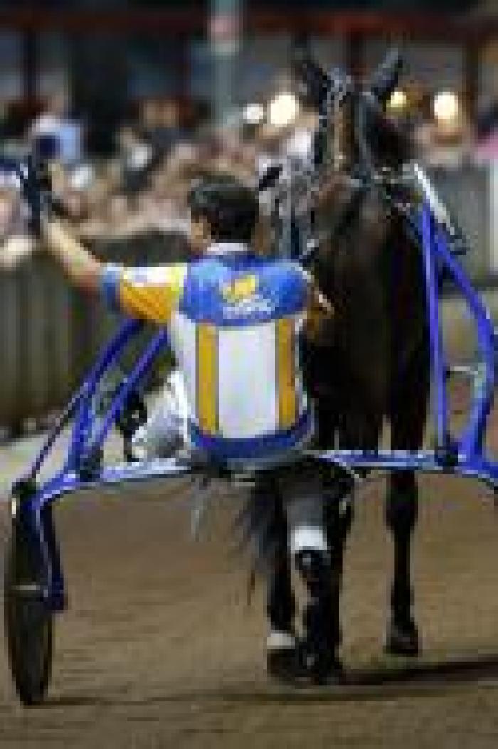 Trotto, l'albo d'oro del G.P. a Montecatini Trotto, l'albo d'oro del G.P. a Montecatini