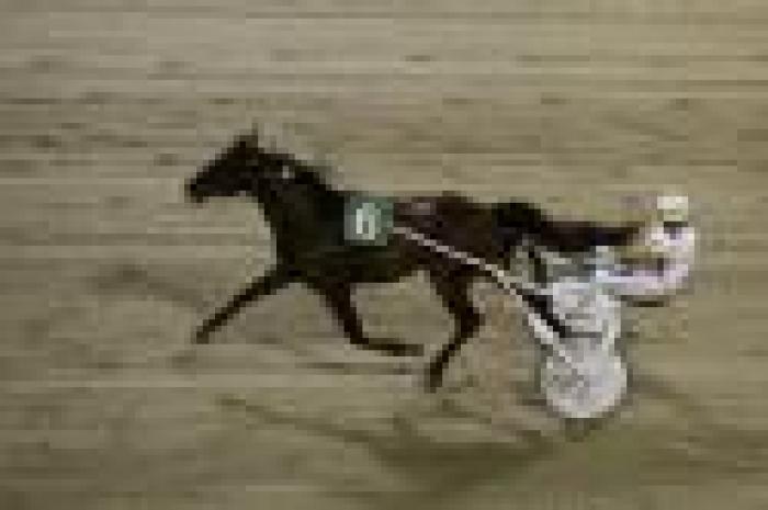 Cesena, Premio Gruppo Ponti vinto da Martin Prav Cesena, Premio Gruppo Ponti vinto da Martin Prav