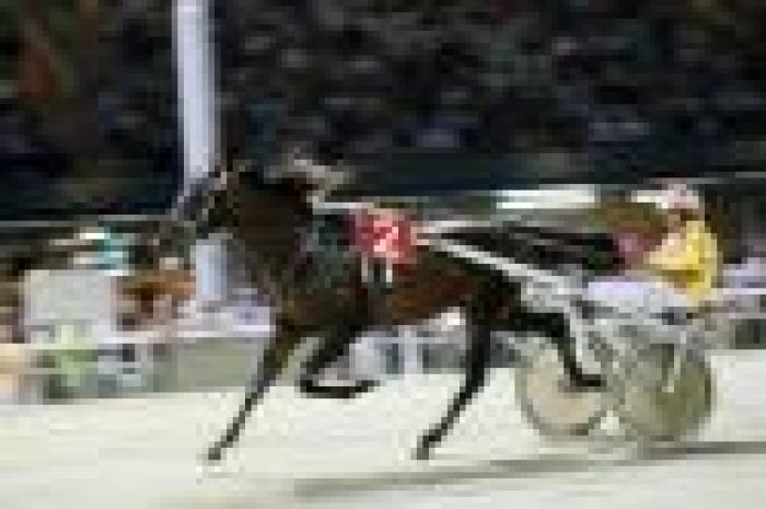 Superfrustino a Cesena, vince<br> il ''ripescato'' Alessandro Gocciadoro