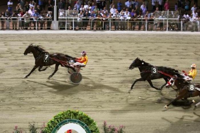 L\'arrivo di Newyork Newyork L\'arrivo di Newyork Newyork