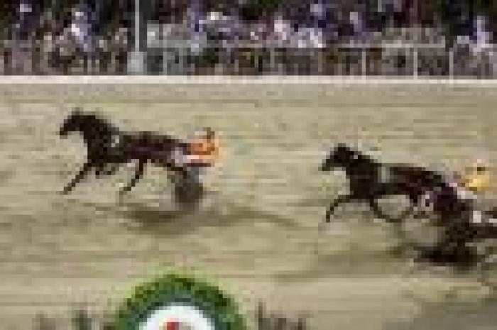 Trotto, Cesena premia Newyork Newyork Trotto, Cesena premia Newyork Newyork