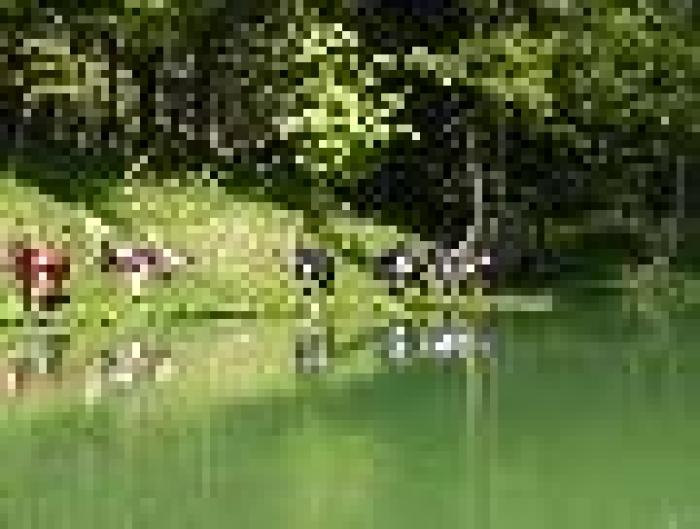 Sul lago di Ninfa a cavallo della natura