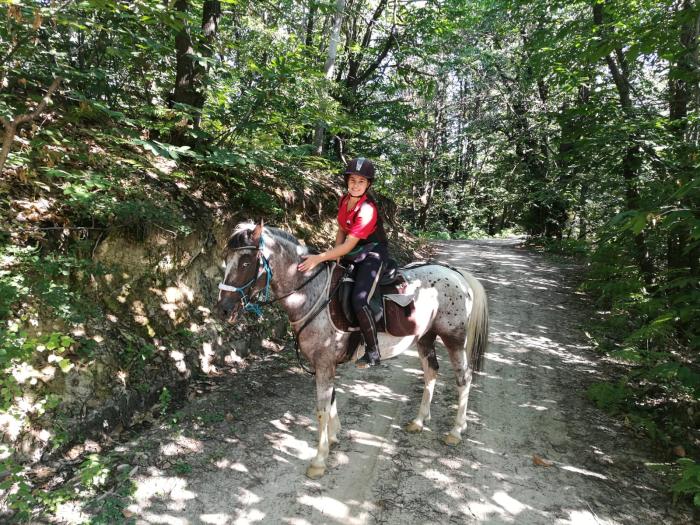 A passo lento tra antichi manieri  del Parco del Frignano