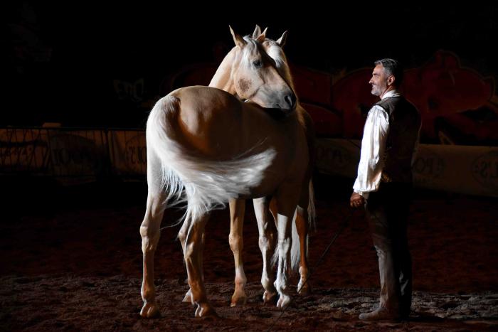 Città di Castello, Mostra Nazionale del Cavallo torna protagonista