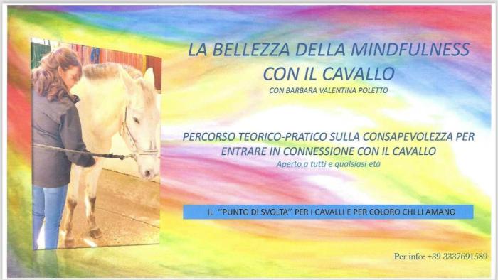 Presto al via il Corso di Mindfulness con il Cavallo Presto al via il Corso di Mindfulness con il Cavallo