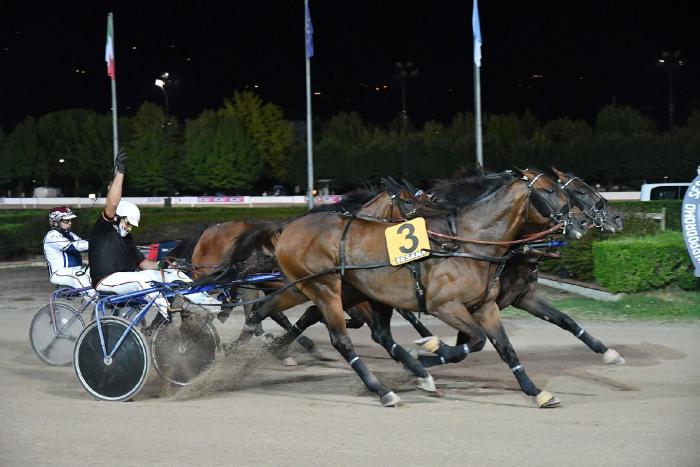 Spettacolo al Sesana per la corsa delle pariglie, vince Alessandro Muretti Spettacolo al Sesana per la corsa delle pariglie, vince Alessandro Muretti