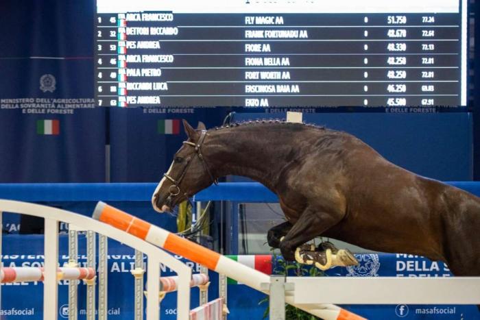 Verona. Assegnata al  Centro Ippico Le Scuderie l'organizzazione finali nazionali  circuito allevatoriale