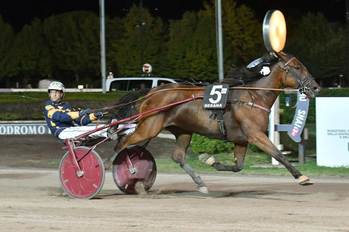 Futura Trebi a segno nel premio Cavallo2000