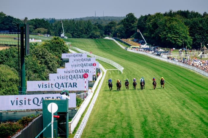 GOODWOOD CHE SHOCK GOODWOOD CHE SHOCK
