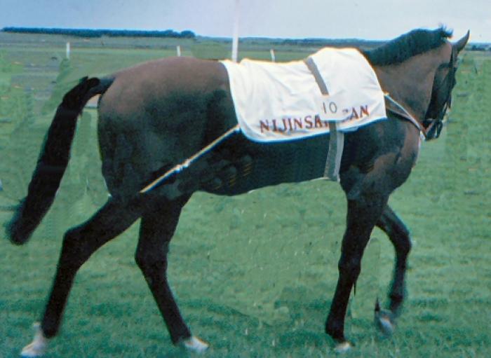 NIJINSKY IL PRIMO FUORICLASSE MODERNO
