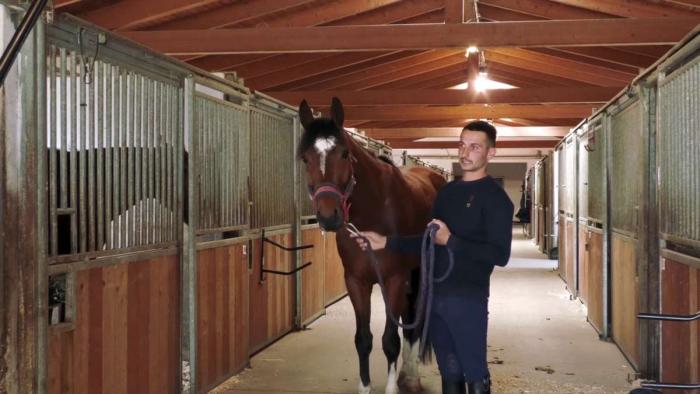 <strong>No semus a pe</strong> un progetto che racconta la cultura del cavallo in Sardegna <strong>No semus a pe</strong> un progetto che racconta la cultura del cavallo in Sardegna