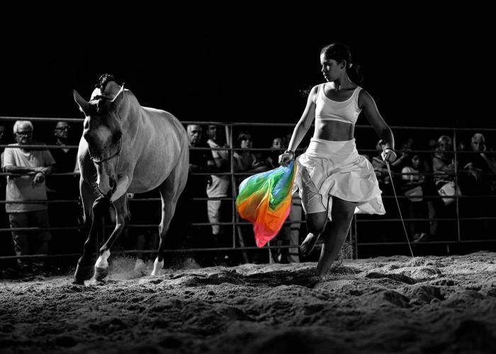 Blera. Ritmo chiude il “ trittico dell’anima ” : oltre 4.000 spettatori per l’opera equestre firmata da Rodolfo Lorenzini Blera. Ritmo chiude il “ trittico dell’anima ” : oltre 4.000 spettatori per l’opera equestre firmata da Rodolfo Lorenzini