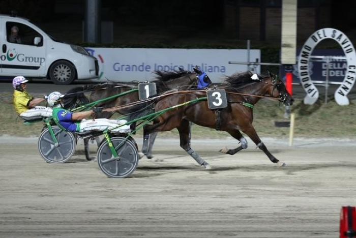 Gill Dorial illumina il Savio: suo il Gran Premio Città di Cesena Gill Dorial illumina il Savio: suo il Gran Premio Città di Cesena