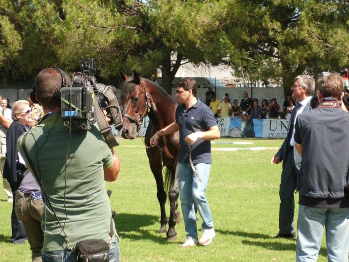 Città di Castello, la 56ª Mostra Nazionale del Cavallo nel segno di Varenne Città di Castello, la 56ª Mostra Nazionale del Cavallo nel segno di Varenne