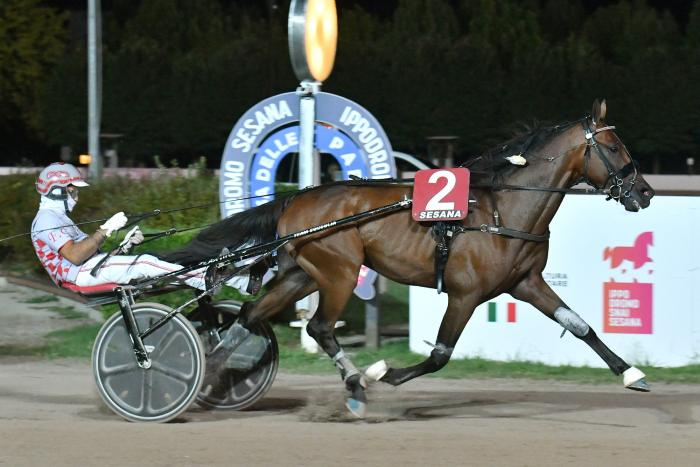 Gioiello Gec e Filippi Gallo chiudono la serata con la bella vittoria di testa nel premio Valorizzazione della cultura equestre Gioiello Gec e Filippi Gallo chiudono la serata con la bella vittoria di testa nel premio Valorizzazione della cultura equestre
