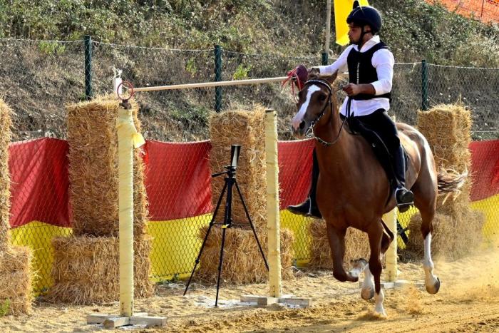 Giostra dei Ventimiglia spettacolo equestre coinvolgente, ma potrebbe migliorare Giostra dei Ventimiglia spettacolo equestre coinvolgente, ma potrebbe migliorare