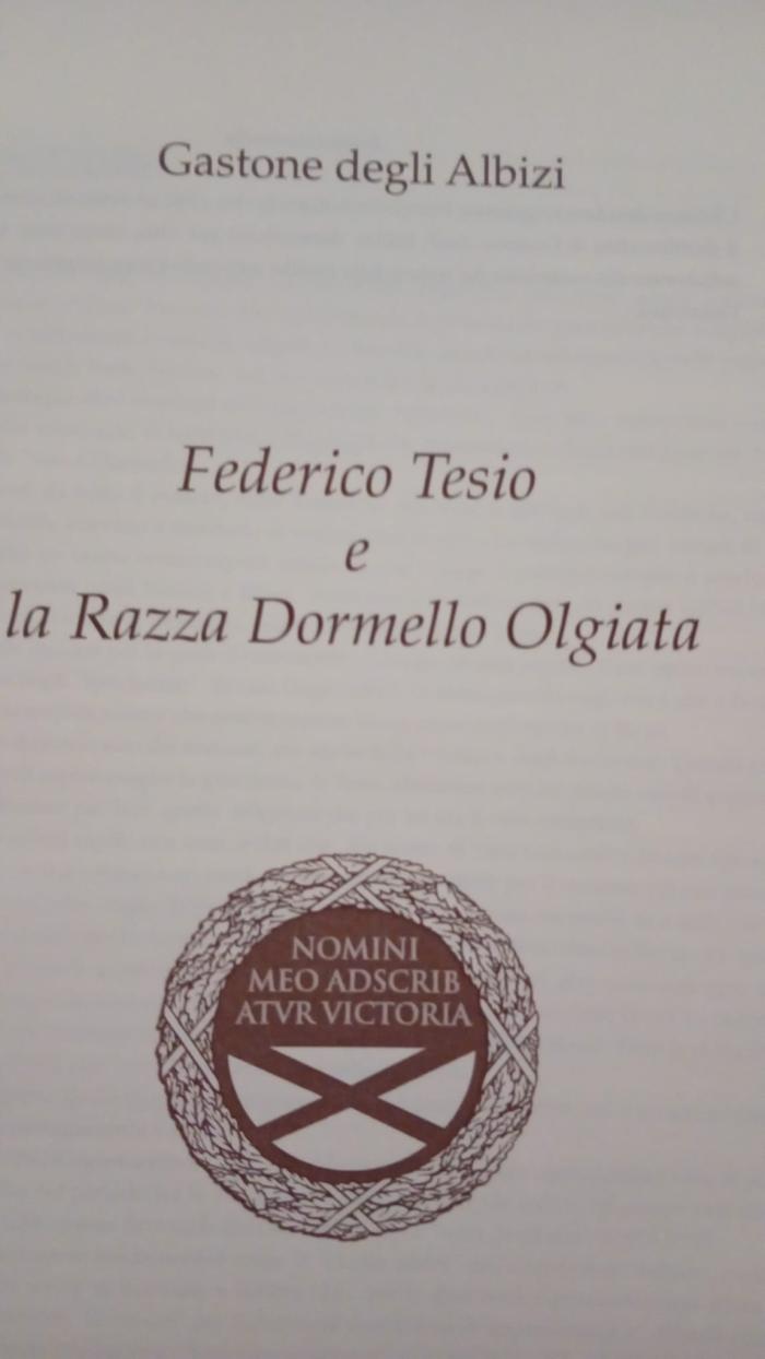 700 PAGINE : IL MITO, LA LEGGENDA , LA STORIA . 700 PAGINE : IL MITO, LA LEGGENDA , LA STORIA .