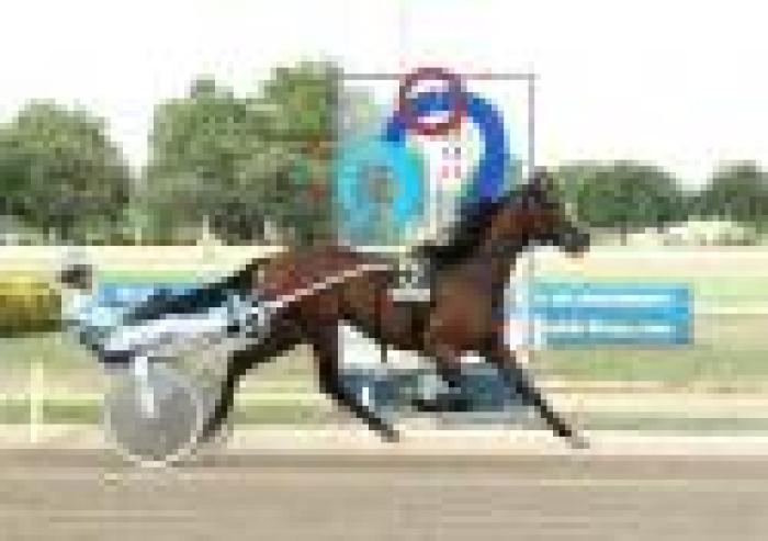 Derby trotto, clamoroso stop di Lana del Rio Derby trotto, clamoroso stop di Lana del Rio