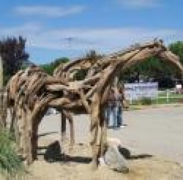 Città di Castello, agonismo e spettacoli a cavallo