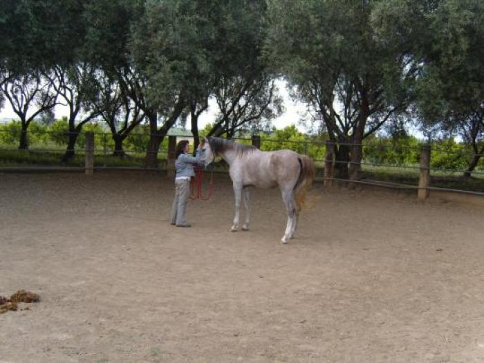 Presentazione di interazione